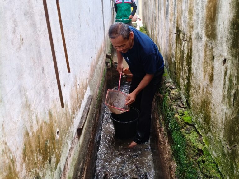 1.160 Lele Berhasil Dipanen, Pak Teja Mengucap Rasa Syukur