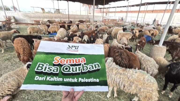 Qurban Telah Terlaksana menanti tiba di gaza