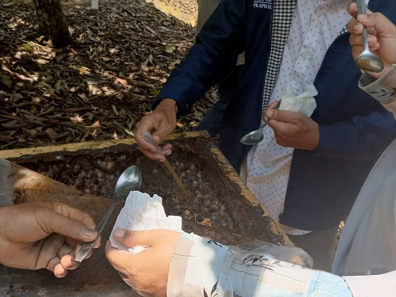 WhatsApp Image 2024-10-02 at 09.28.22 (2)